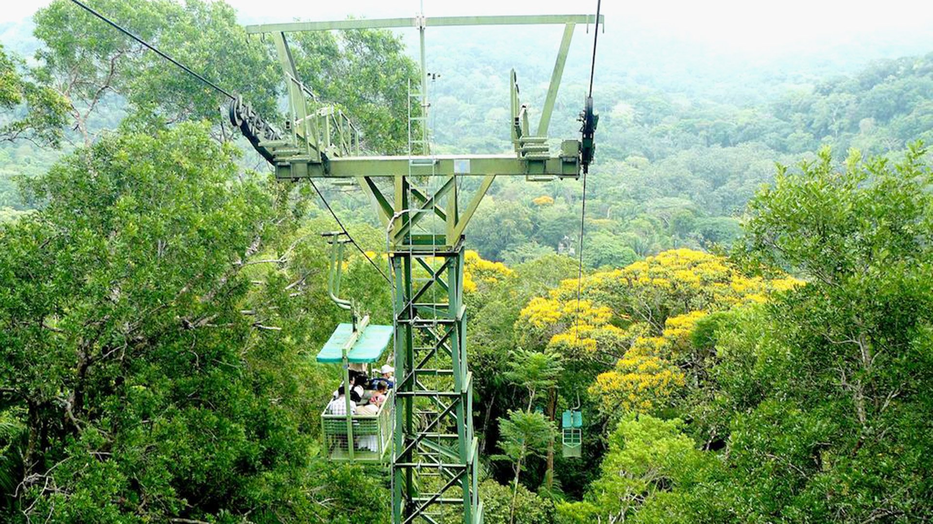 Mit der Seilbahn durch den Regenwald