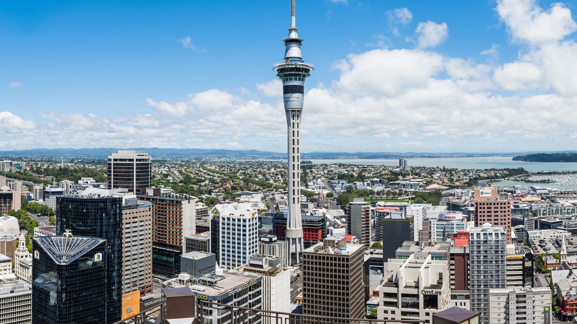 Panoramafahrt durch Auckland und War Memorial Museum