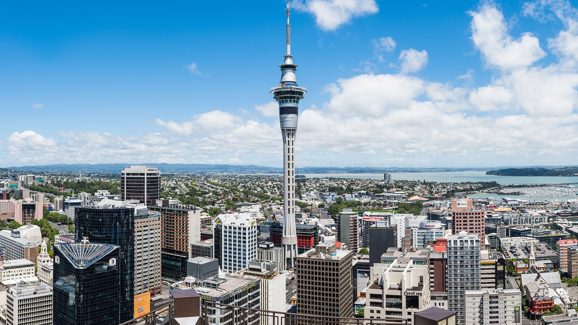 Panoramafahrt durch Auckland und War Memorial Museum