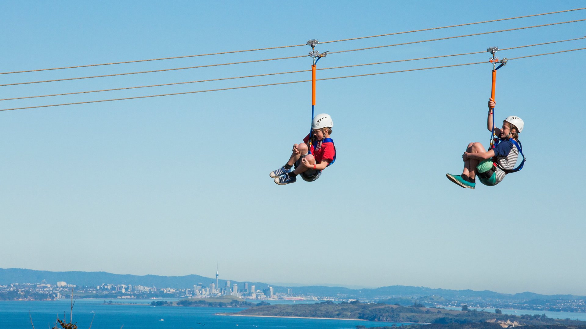 Eco Zip Line Abenteuer auf Whaiheke Island