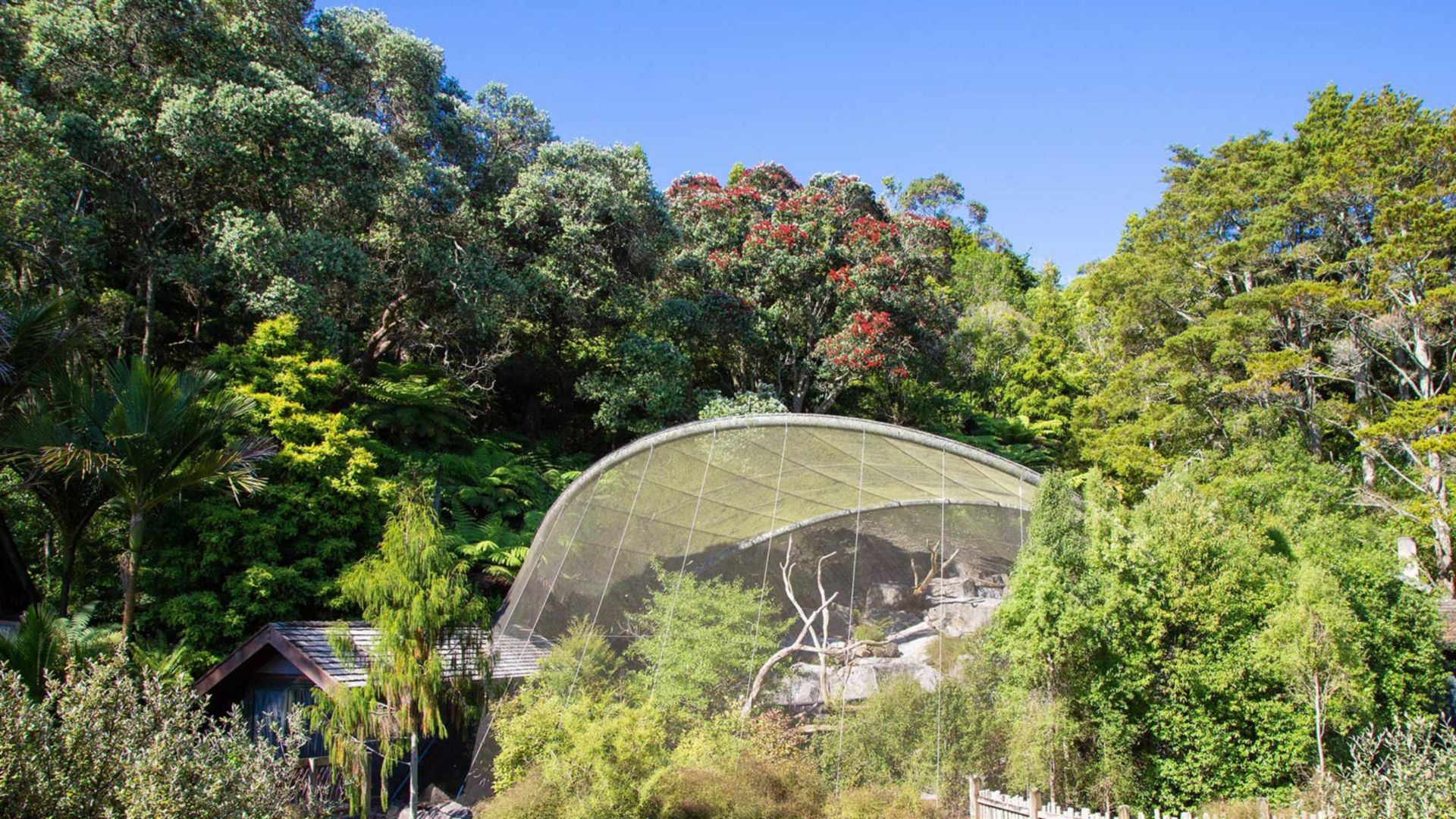 Aucklands Zoo Te Wao Nui