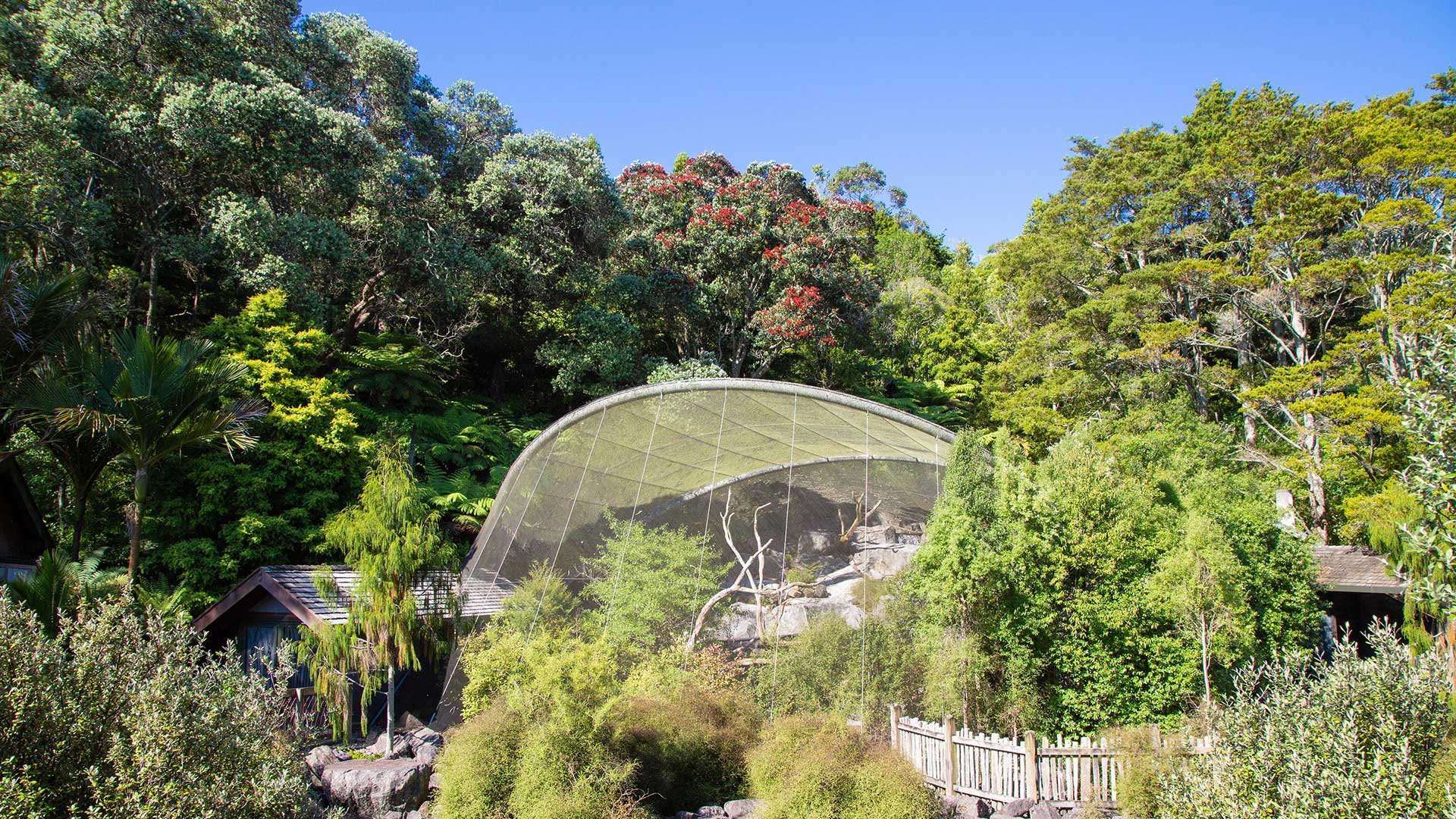 Aucklands Zoo Te Wao Nui 