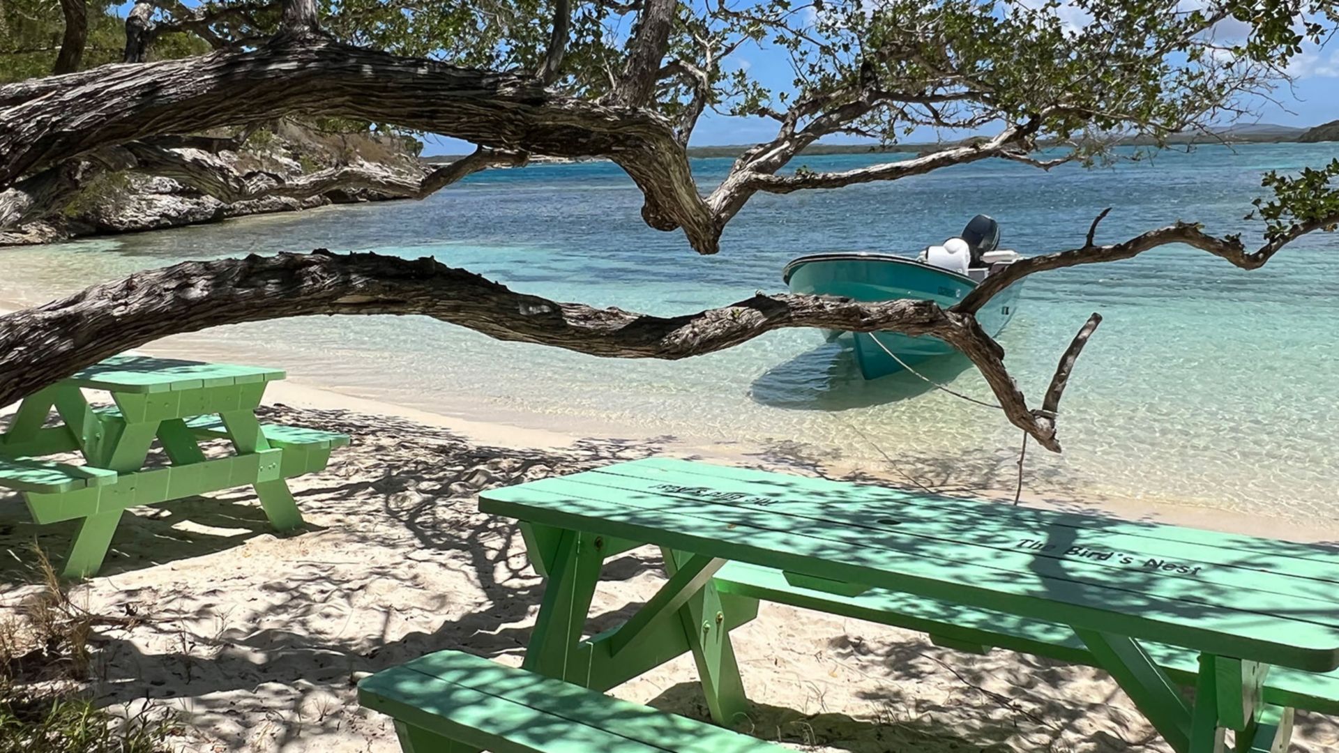 Ein halber Tag auf der Privatinsel Great Bird Island