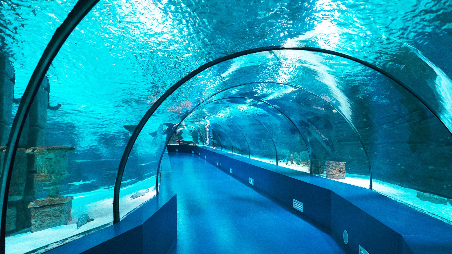 Das Aquarium von Antalya 