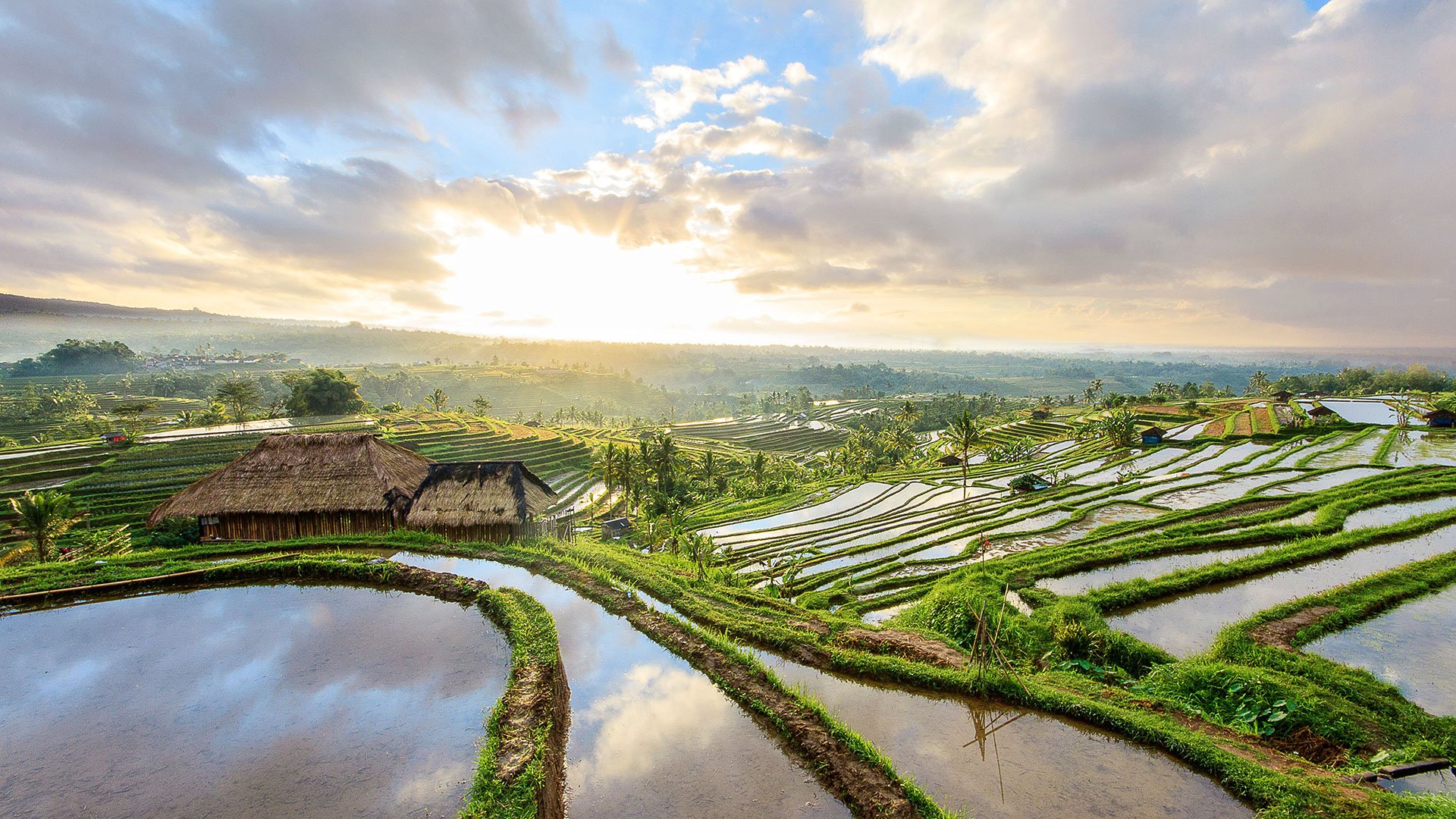 Spaziergang inmitten Balis Reisterrassen