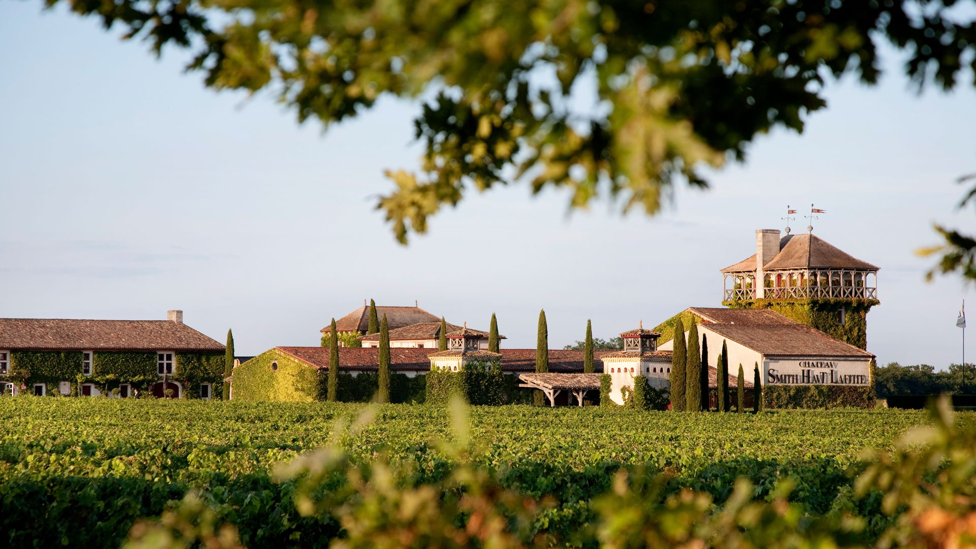 Weinprobe im Château Smith Haut Lafitte