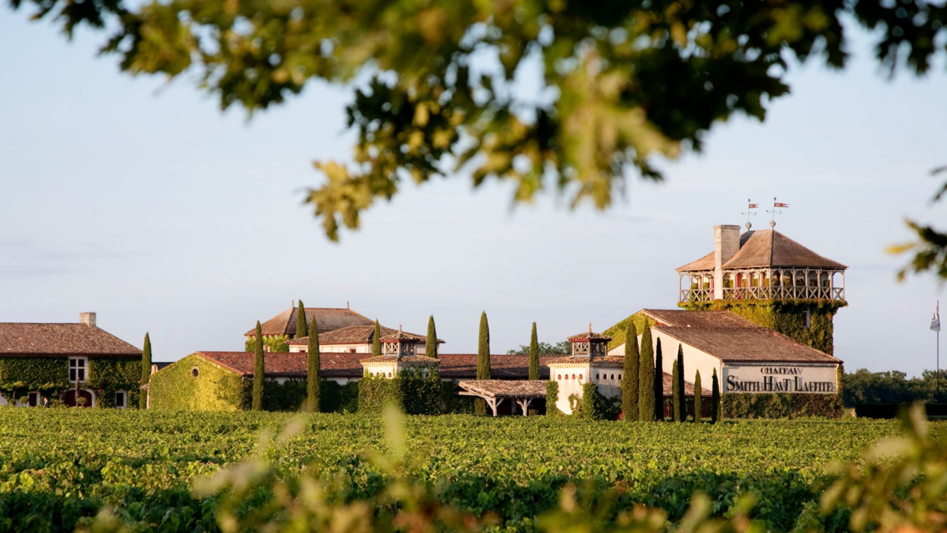 Weinprobe im Château Smith Haut Lafitte