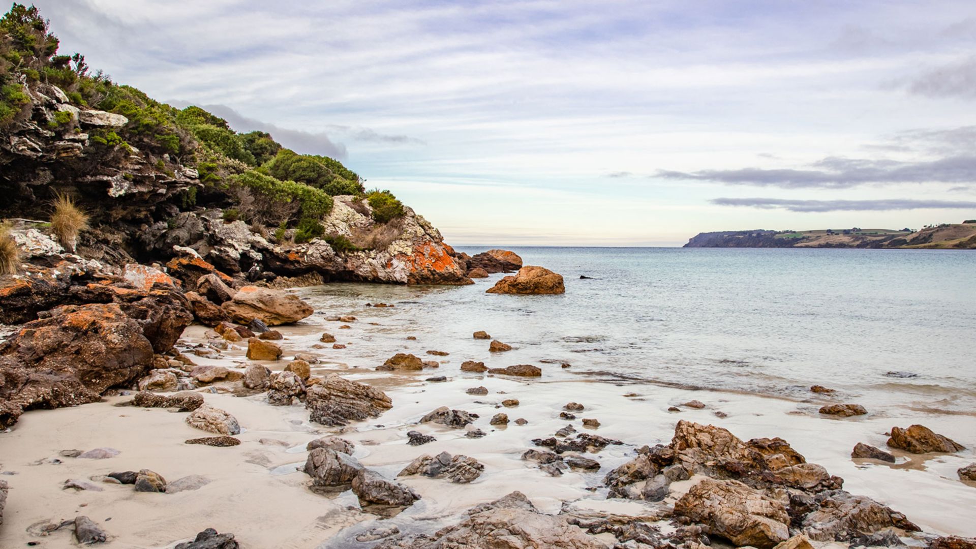 Komm an Land: Landschaftsfahrt nach Boat Harbour