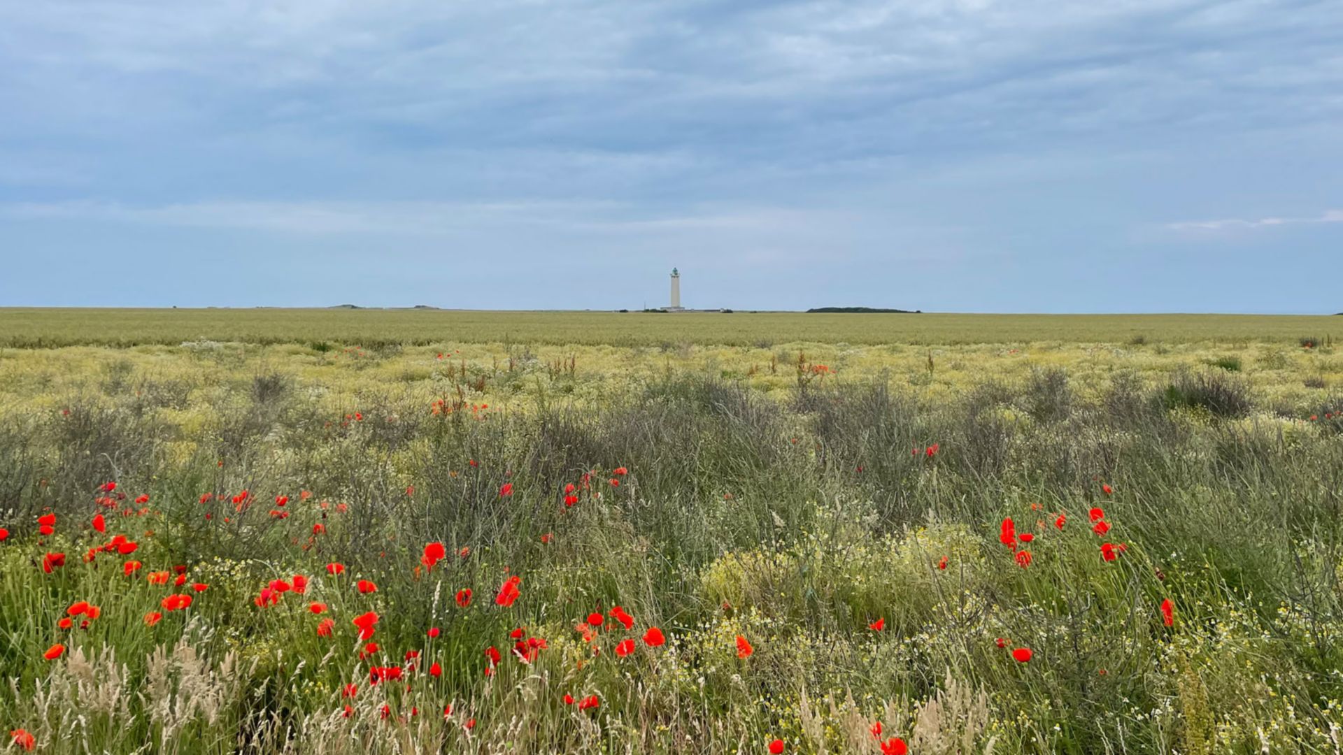 Wandern am Cap Carteret – Küste