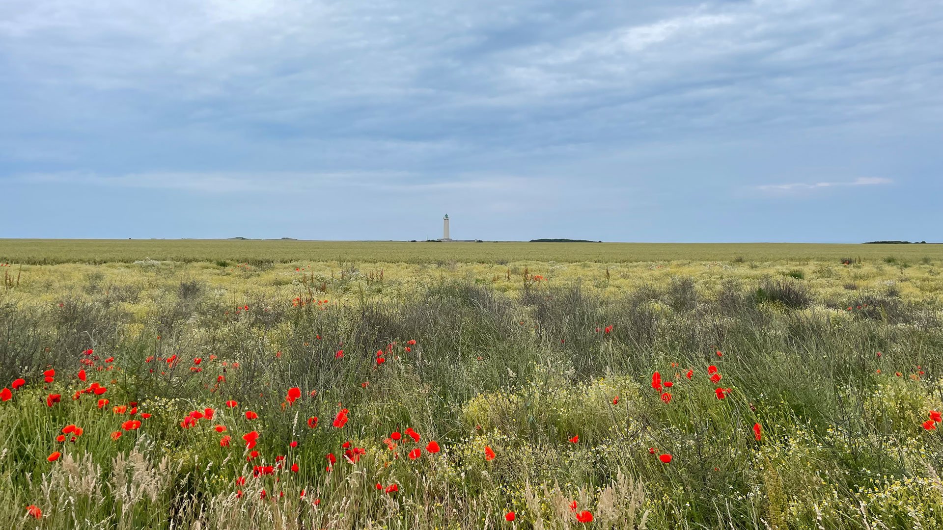Wanderung entlang des Carteret Cap