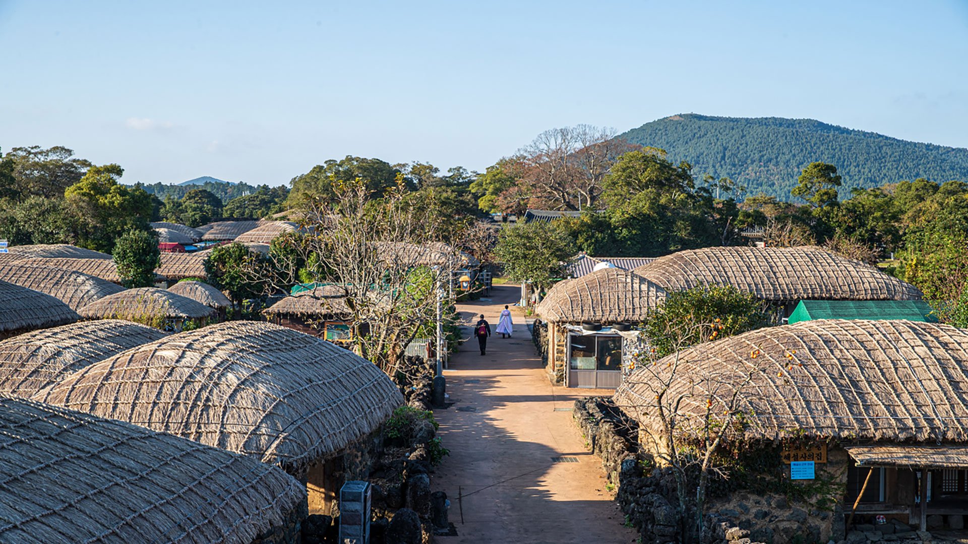 Entdeckungstour über die Insel Jeju