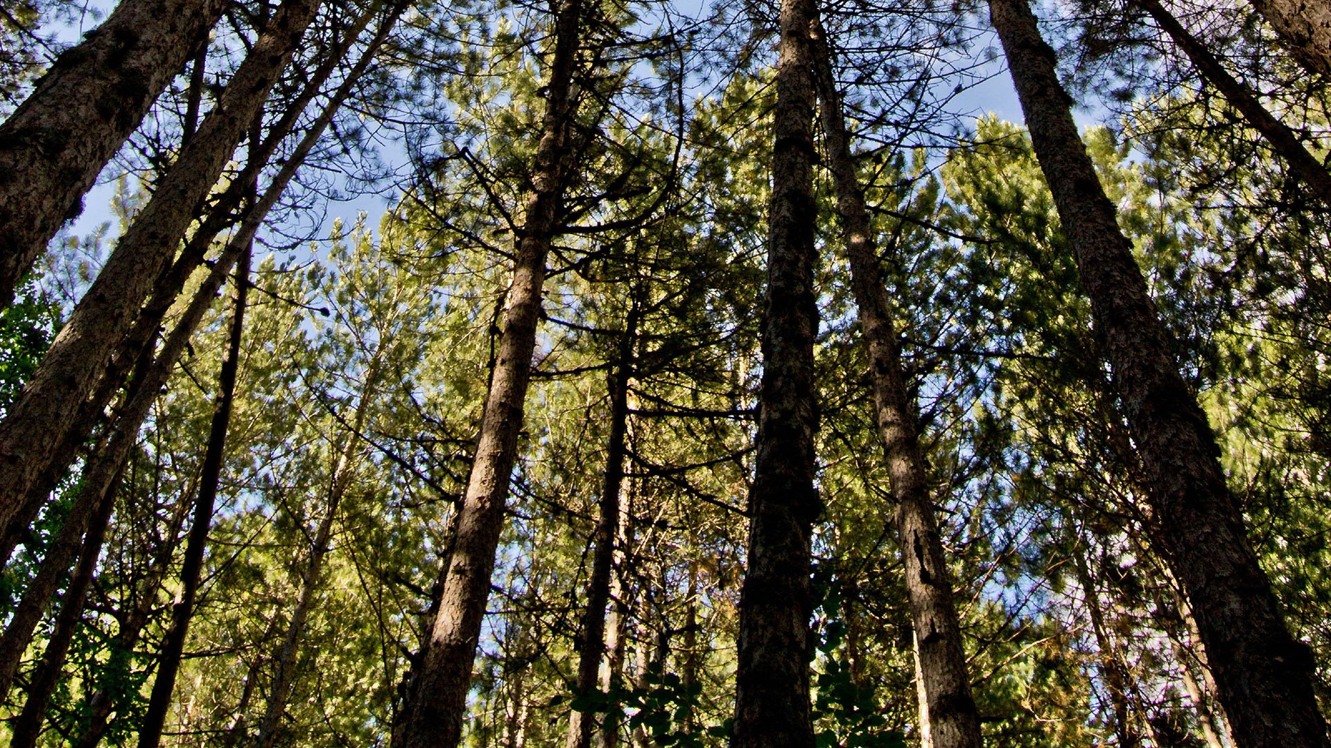 Zu Fuß durch den ältesten Nationalpark Kalabriens