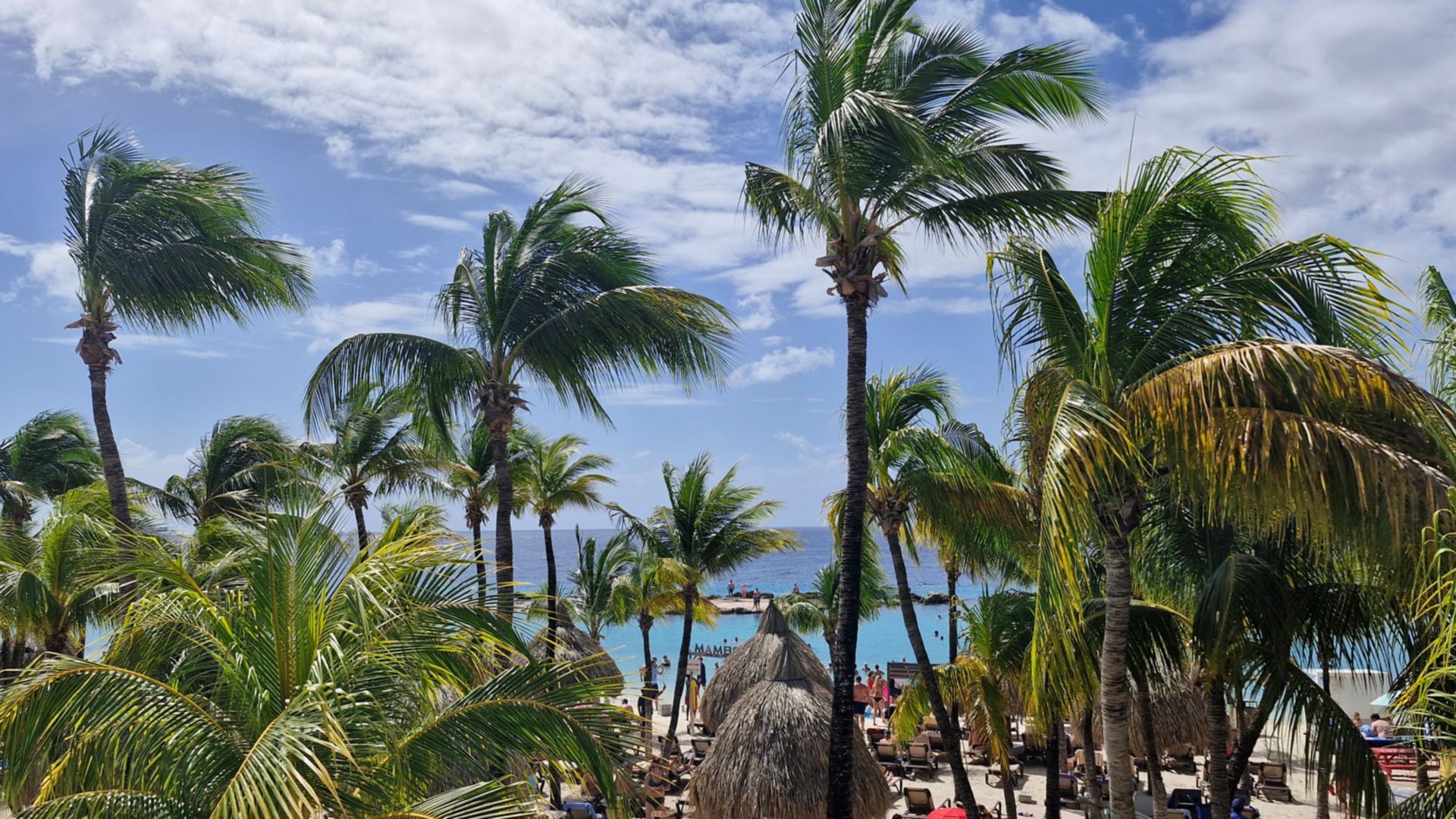Mambo Beach auf eigene Faust