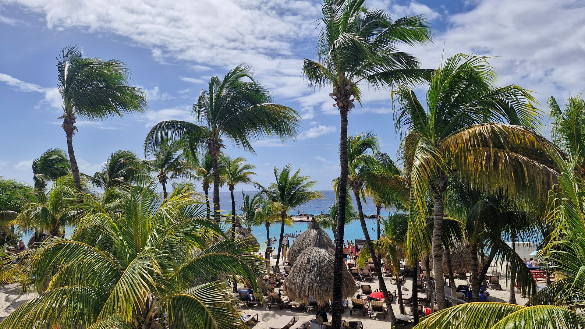 Mambo Beach auf eigene Faust