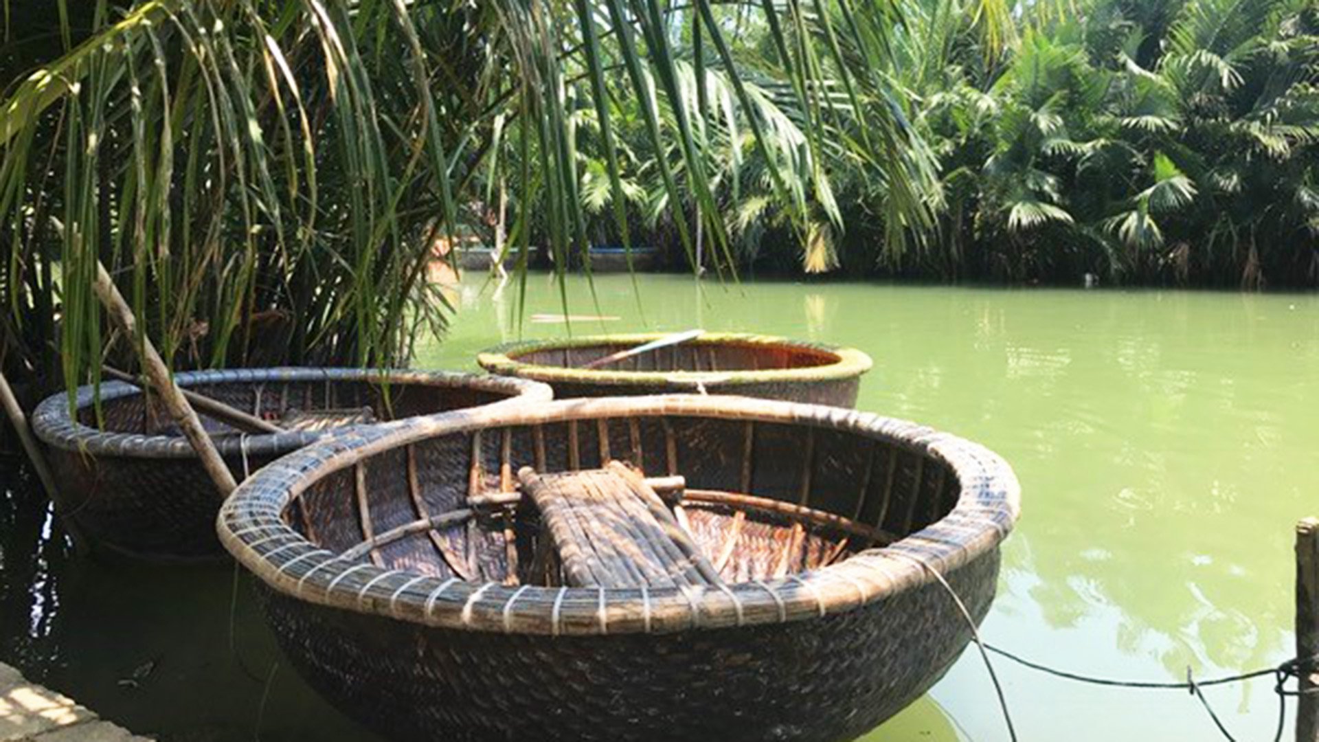 Im Bambusboot durch Kokos-Mangroven und Altstadt von Hội An