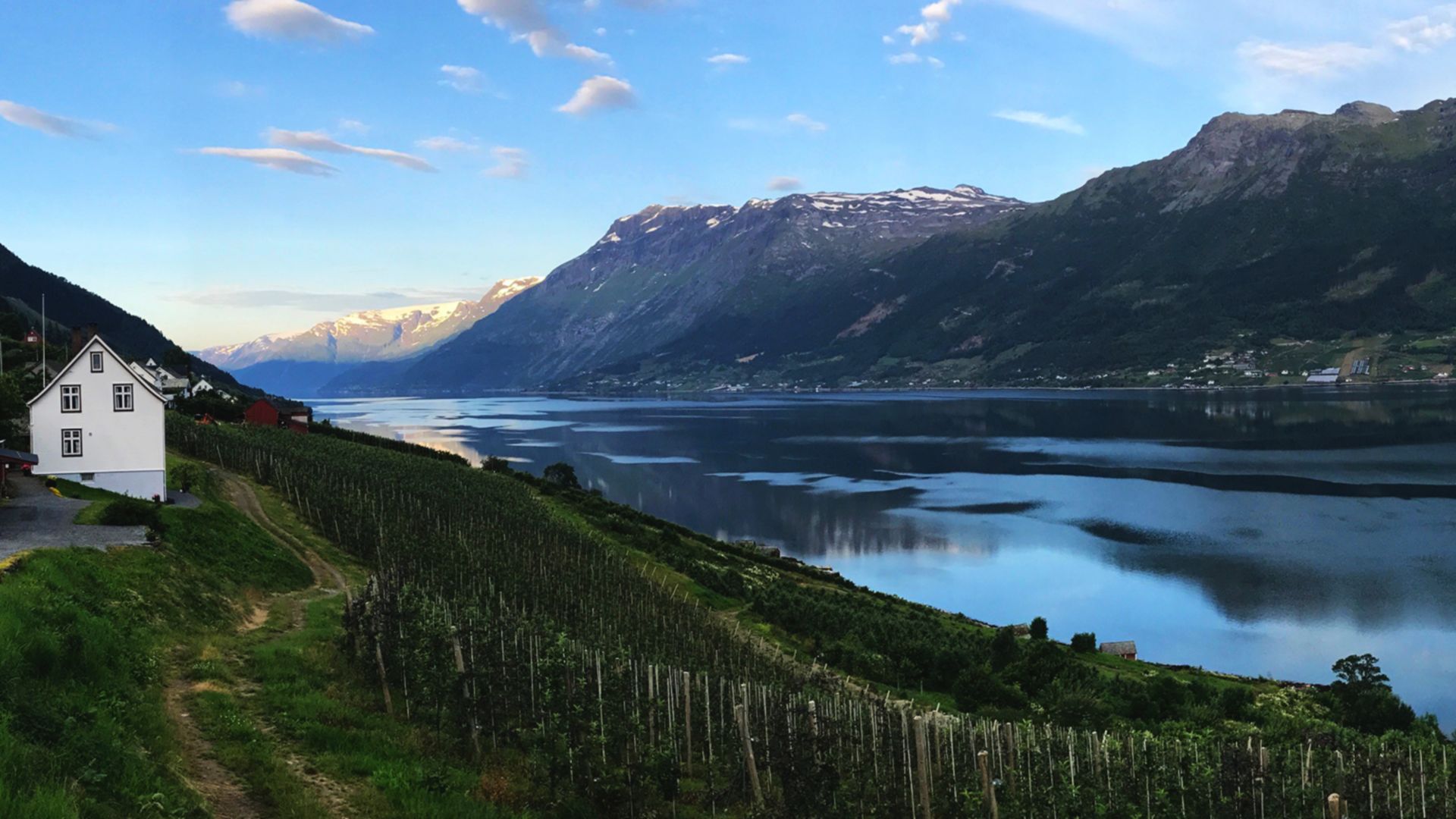 Komm an Land: Spaziergang durch Eidfjord