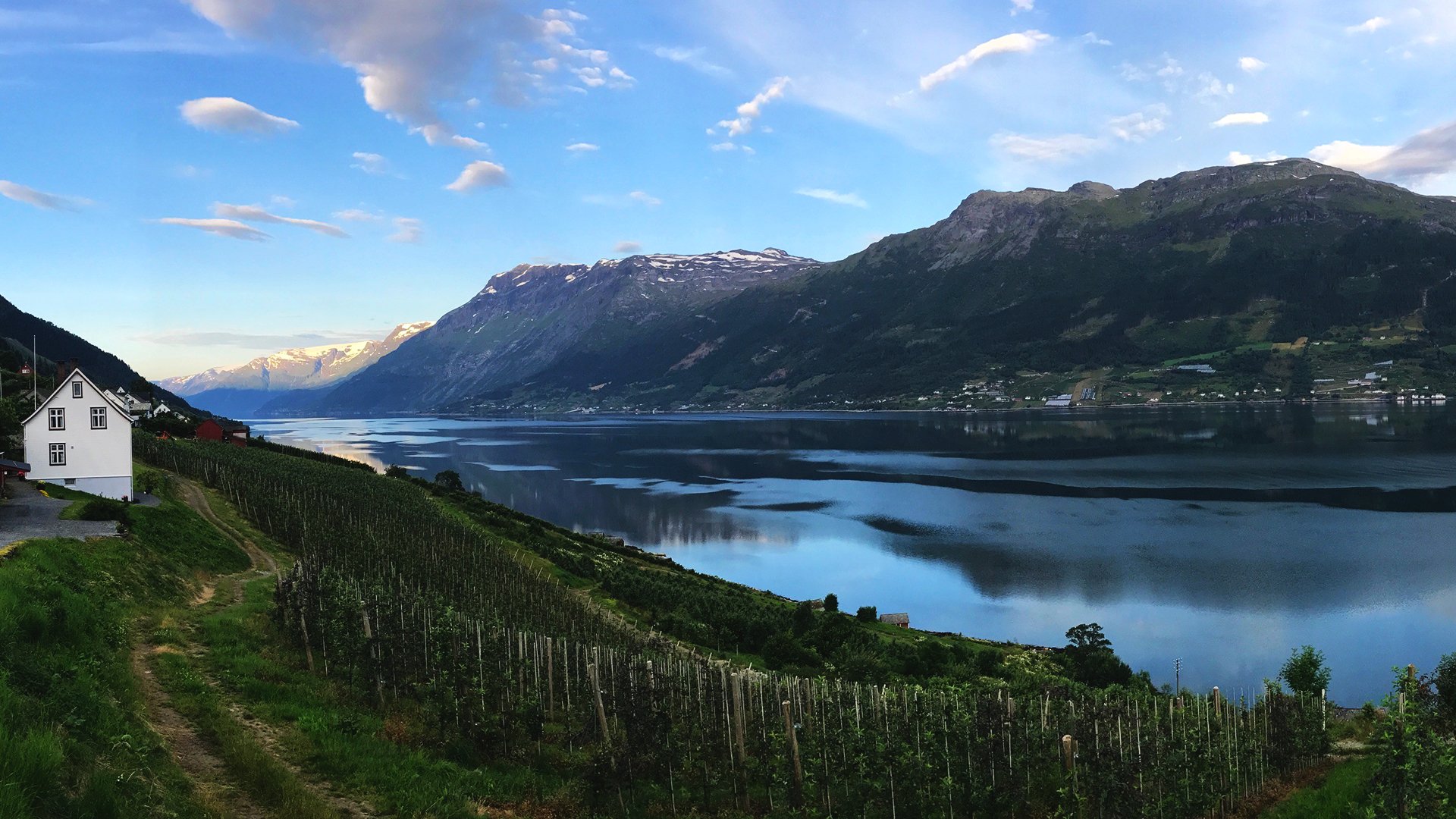 Komm an Land: Spaziergang durch Eidfjord