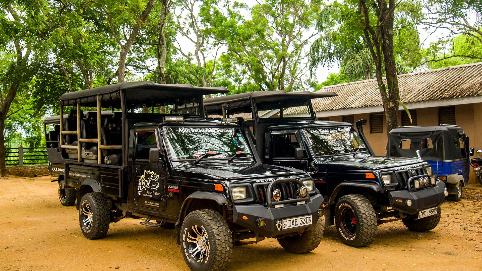 Yala: Ein Paradies für Wildtiere