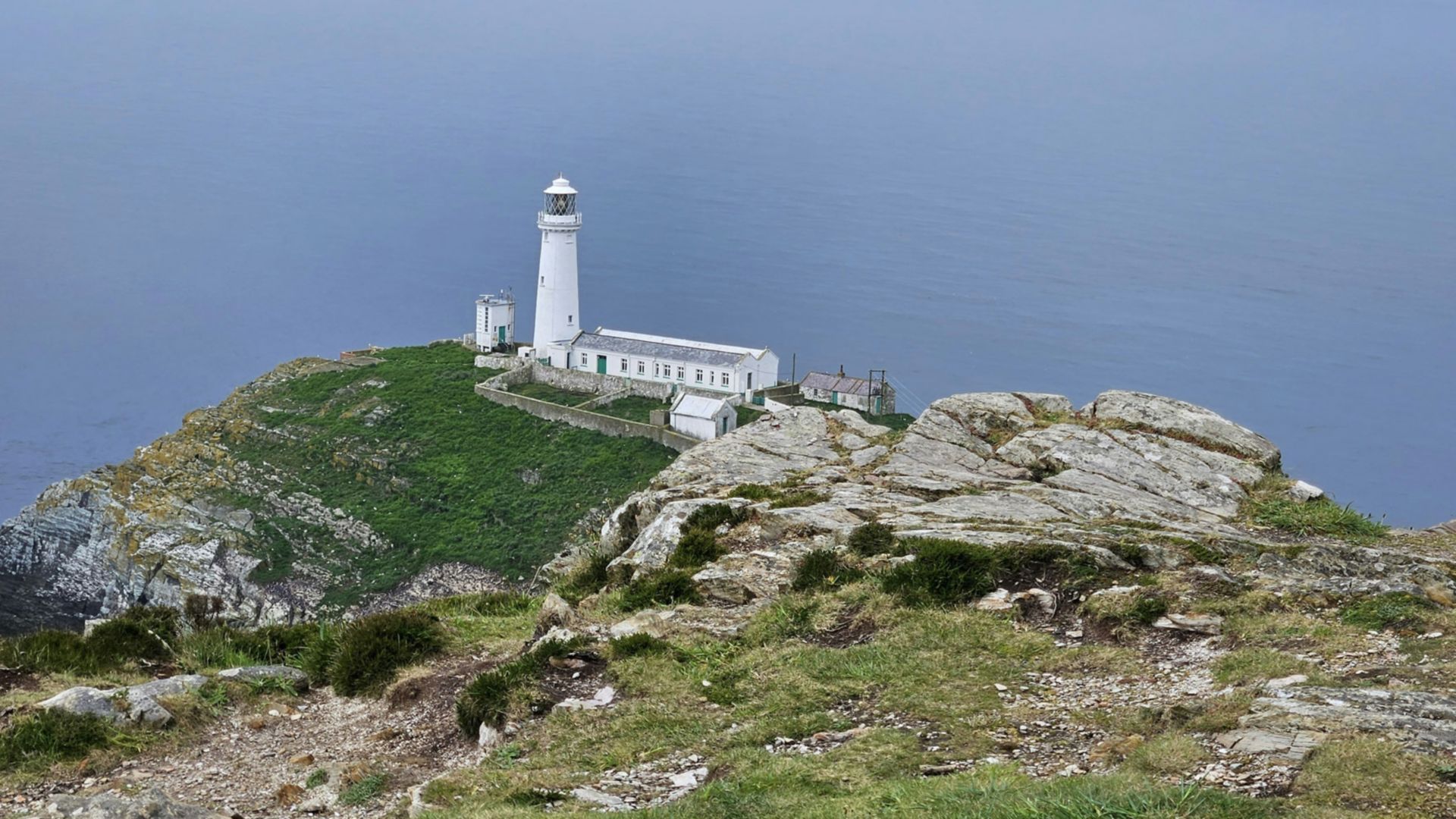 South Stack RSPB Reserve: Ein Pararadies für Naturliebhaber
