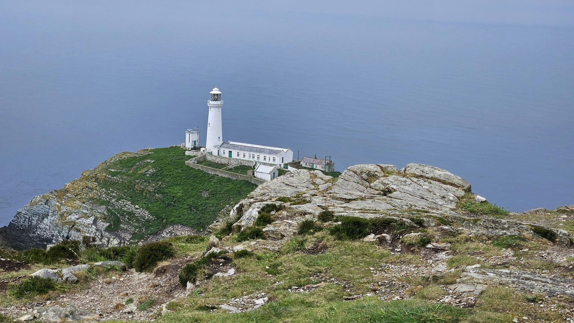 South Stack RSPB Reserve: Ein Pararadies für Naturliebhaber