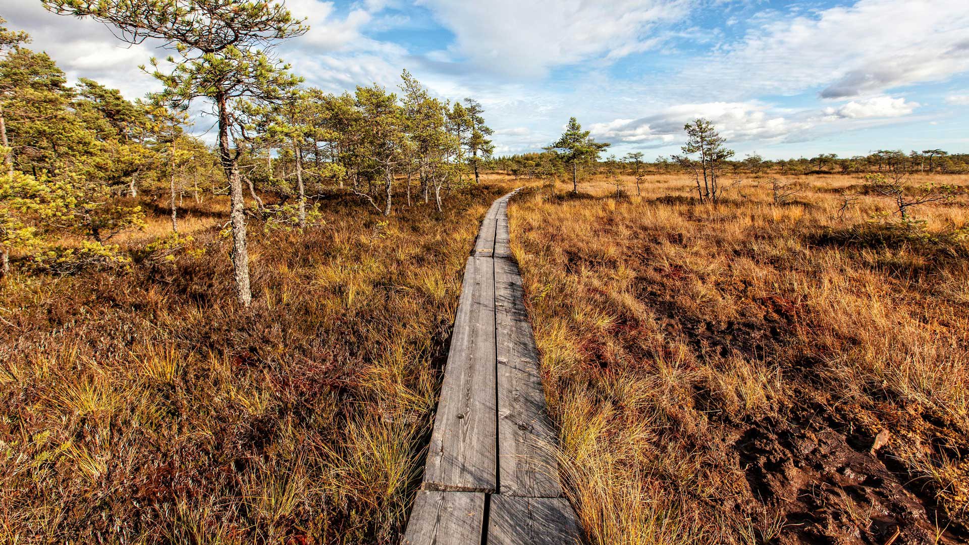 Wanderung im Valkmusa Nationalpark