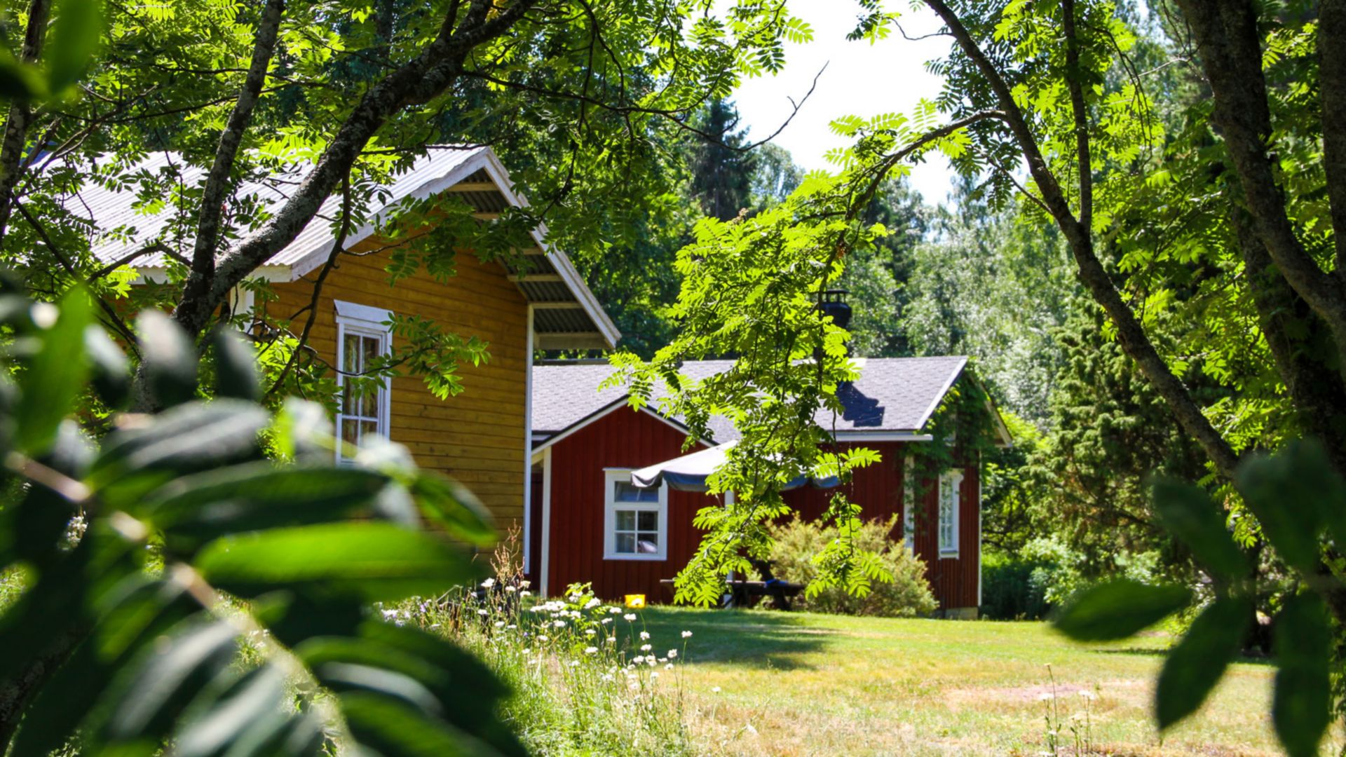 Tammio: Eine Entdeckungsreise in Finnlands Natur und Geschichte
