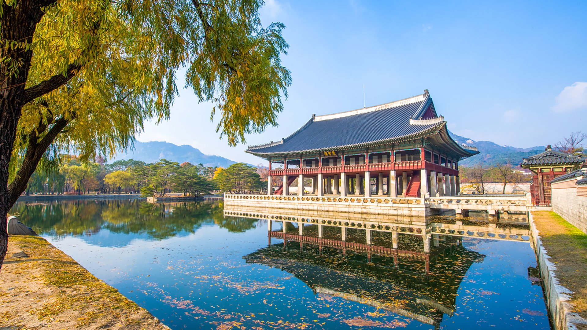 Seoul auf eigene Faust entdecken