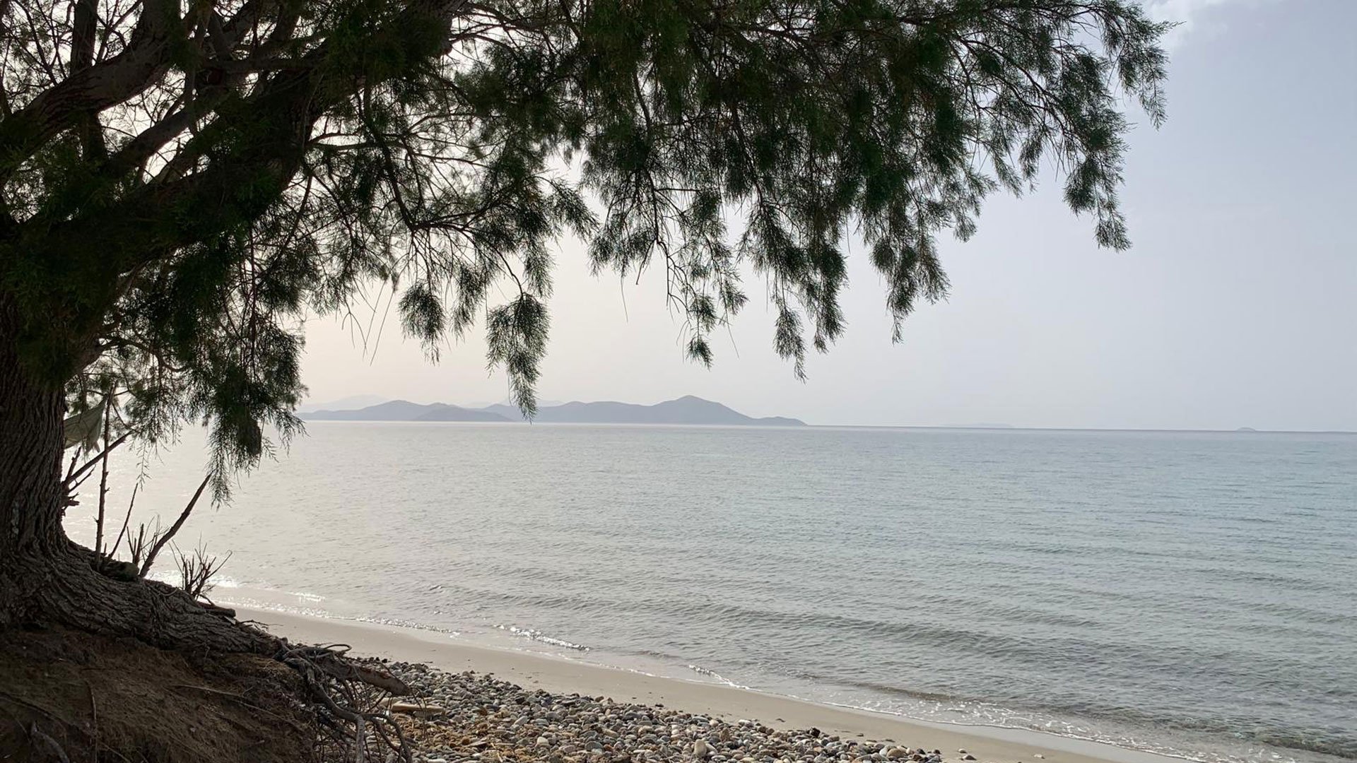Traumhafter Bravo Beach