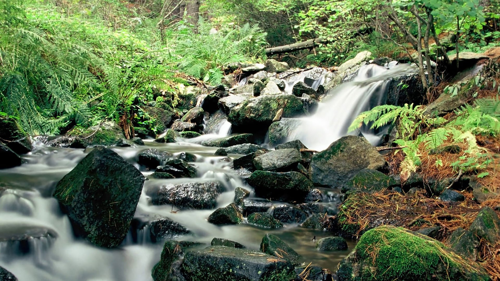 Japans Loch Ness und Tosenkyo-Schlucht