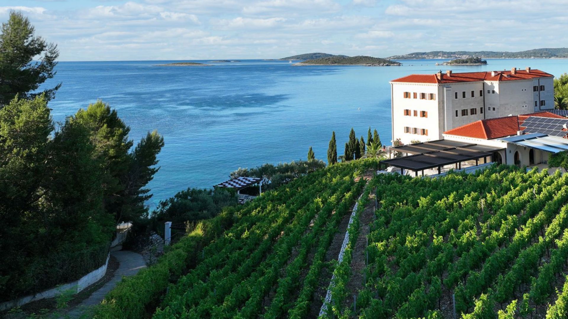 Weinverkostung in der Region Peljesac