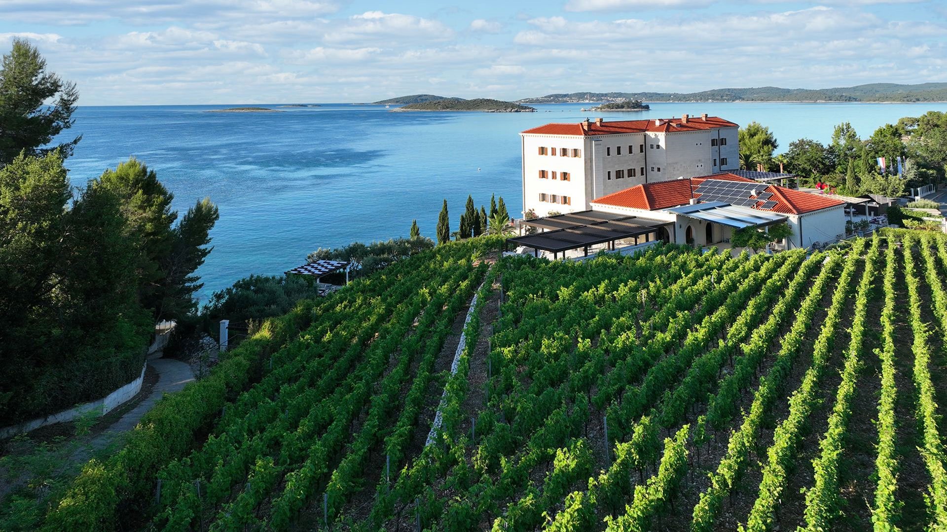 Weinverkostung in der Region Peljesac