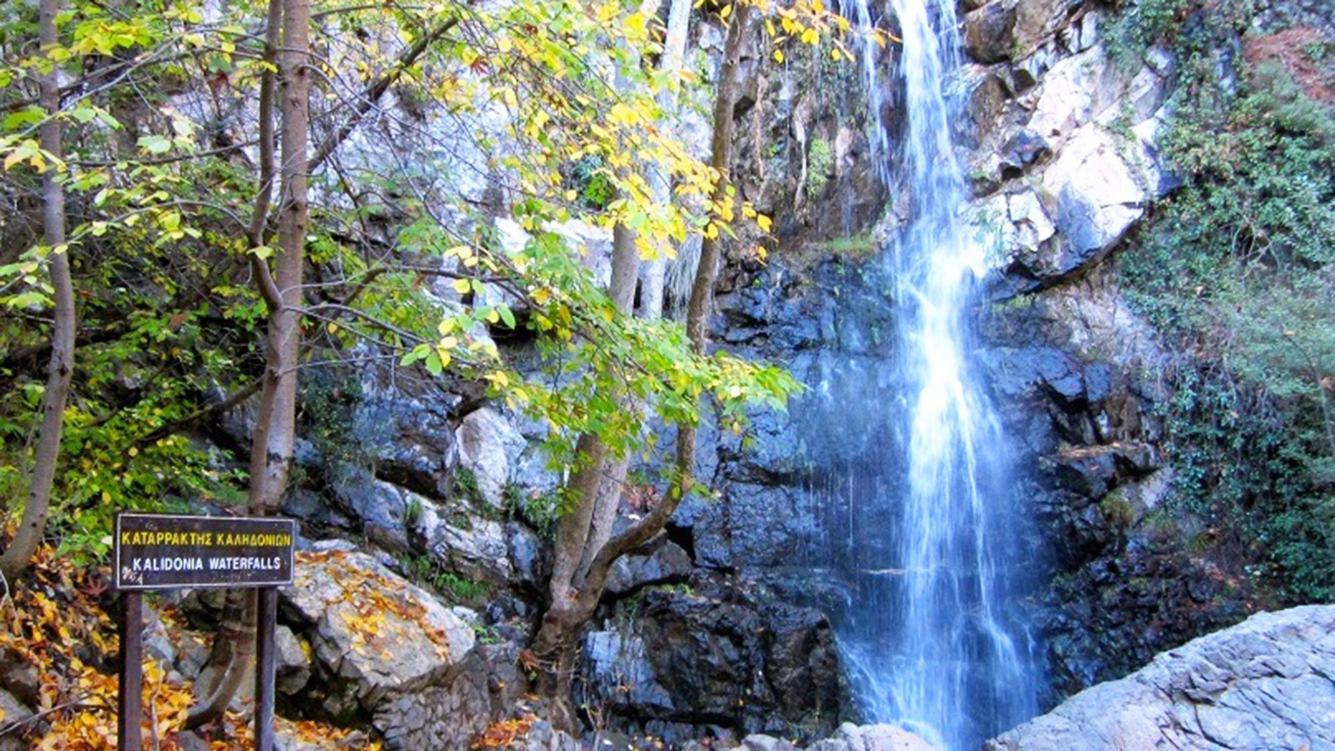 Wanderung durch das Troodos-Gebirge