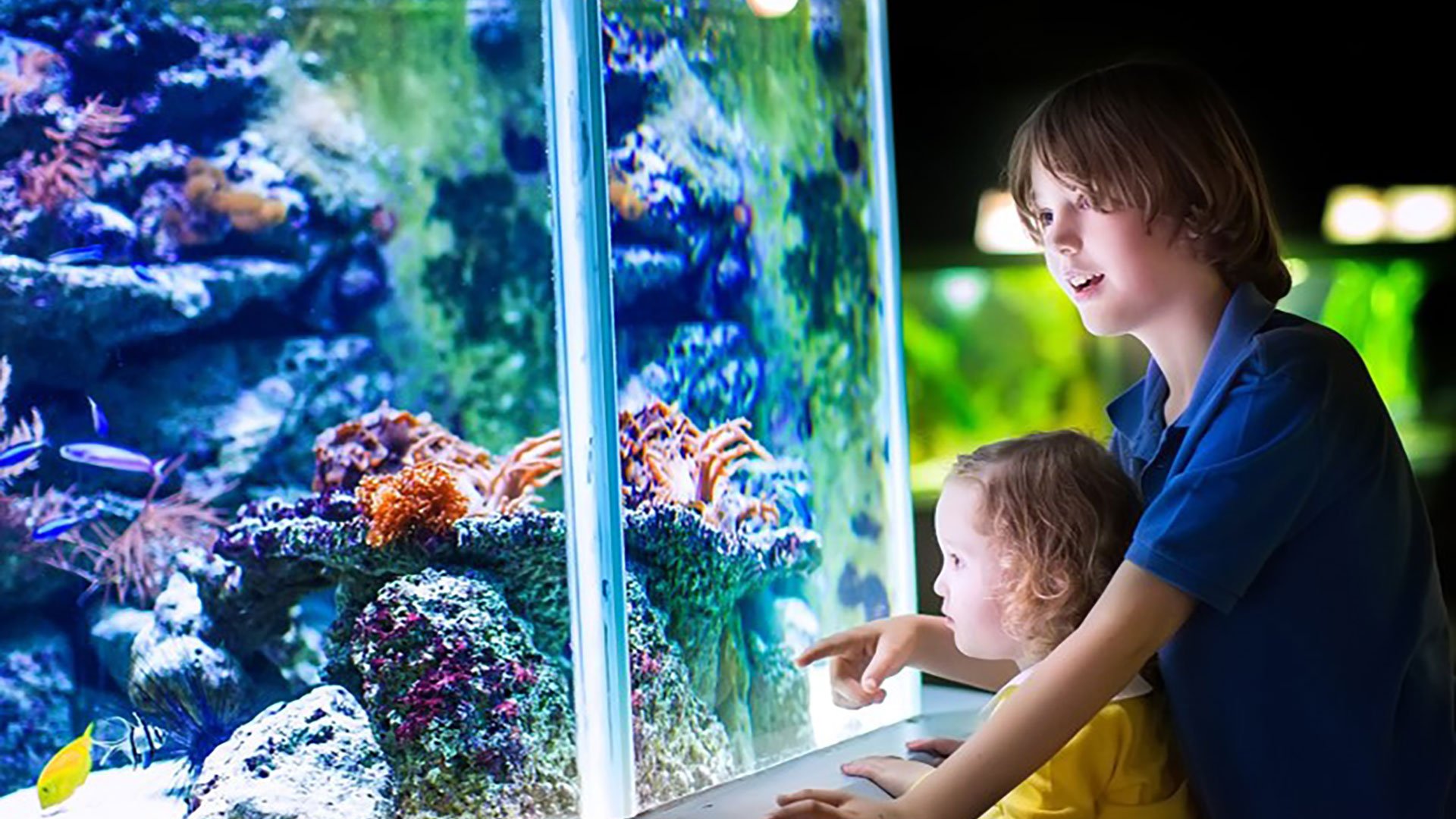 Besuch im Aquarium von Saint-Gilles und Entspannen am Strand