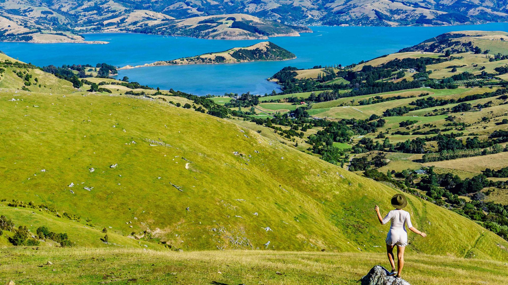 Akaroa auf eigene Faust erkunden