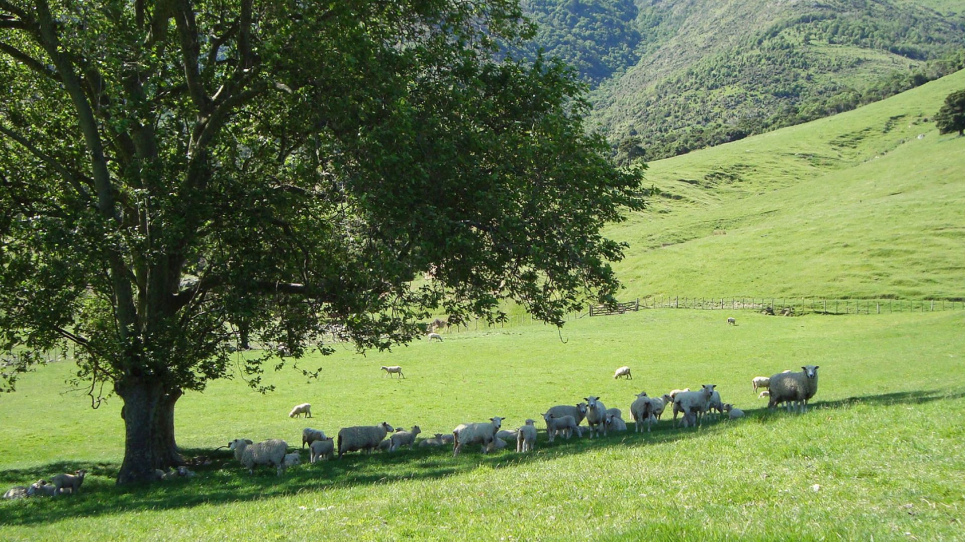 Ein halber Tag auf der Menderley Farm