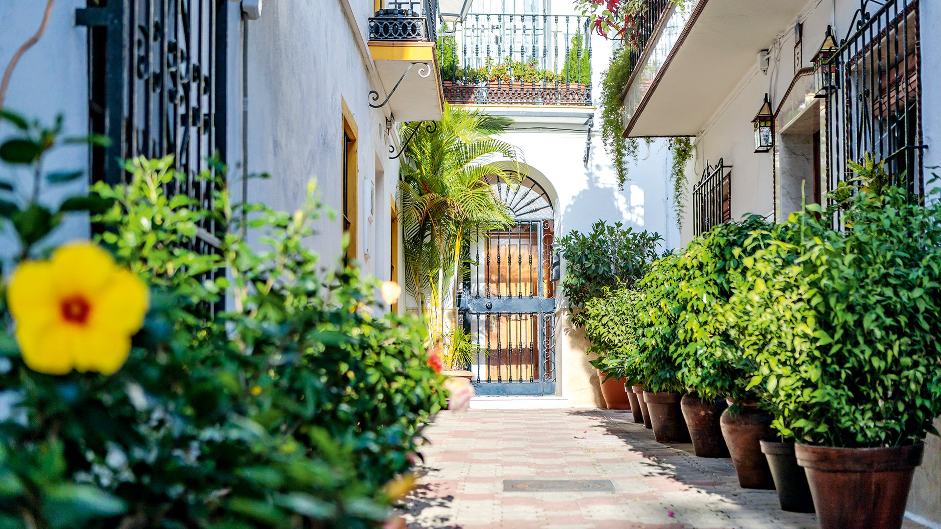 Magisches Marbella