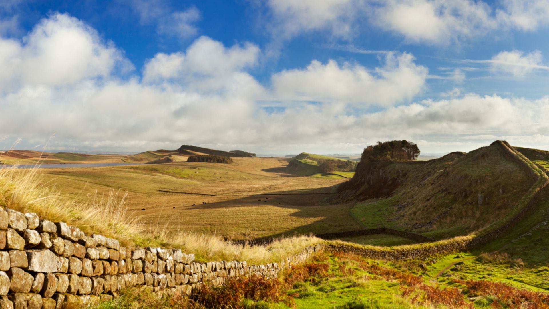 Hadrian's Wall & Vindolanda Fort