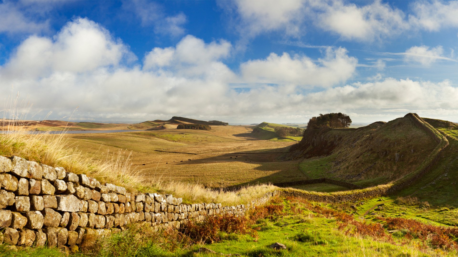 Hadrian's Wall & Vindolanda Fort
