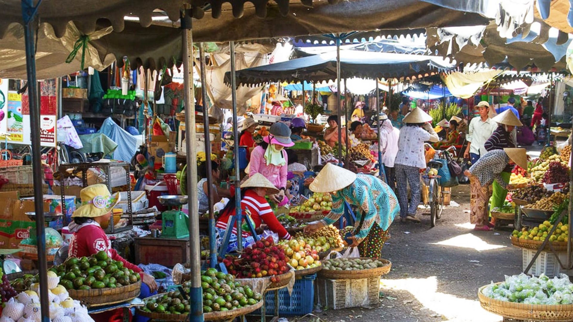 PRIVAT-Tour: Nha Trang  - halbtags - Auto