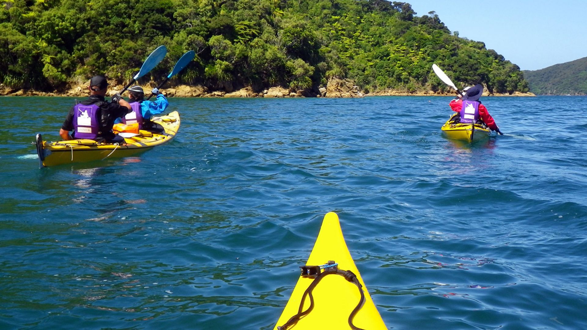 Mit dem Kajak unterwegs auf dem Queen Charlotte Sound