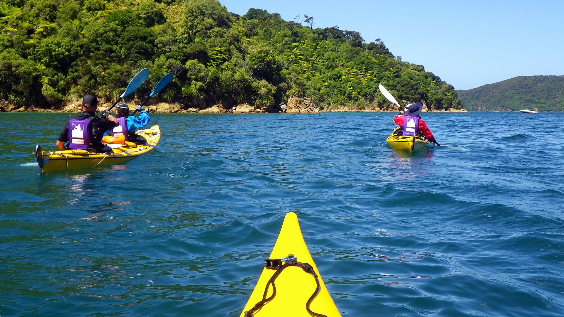 Mit dem Kajak unterwegs auf dem Queen Charlotte Sound