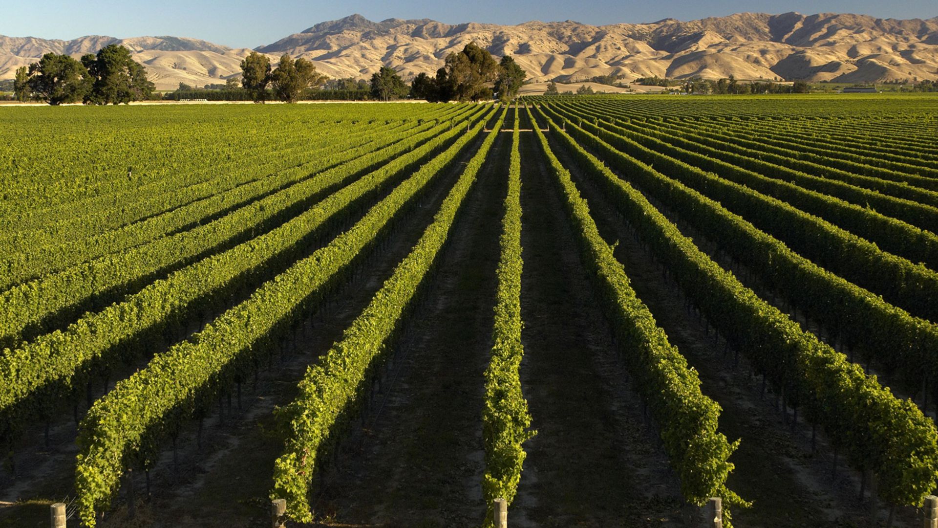 Genuss und Geschichte in Marlborough