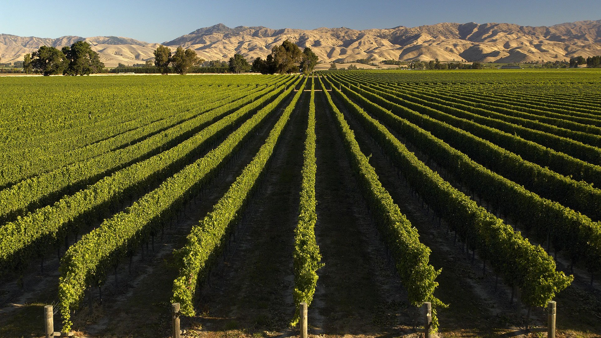 Genuss und Geschichte in Marlborough