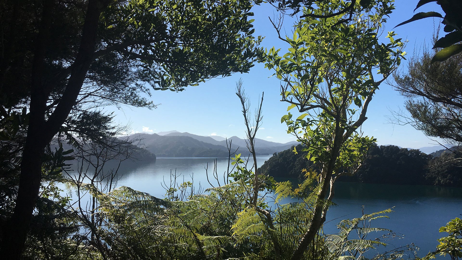Wanderung durch das Kaipupu Naturschutzgebiet