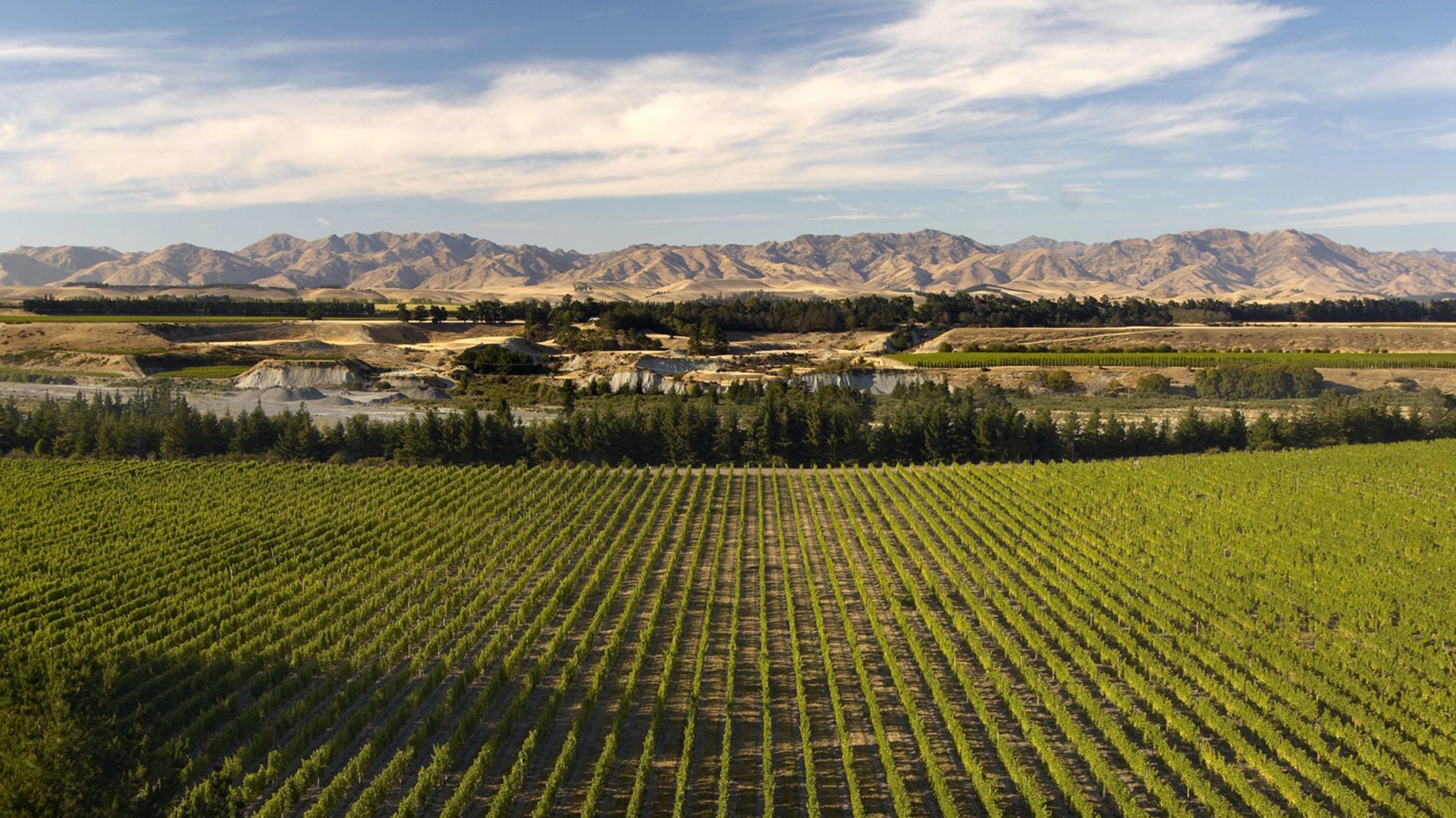 Marlborough Flyer: Malerische Landschaftsfahrt mit der historischen Dampfeisenbahn