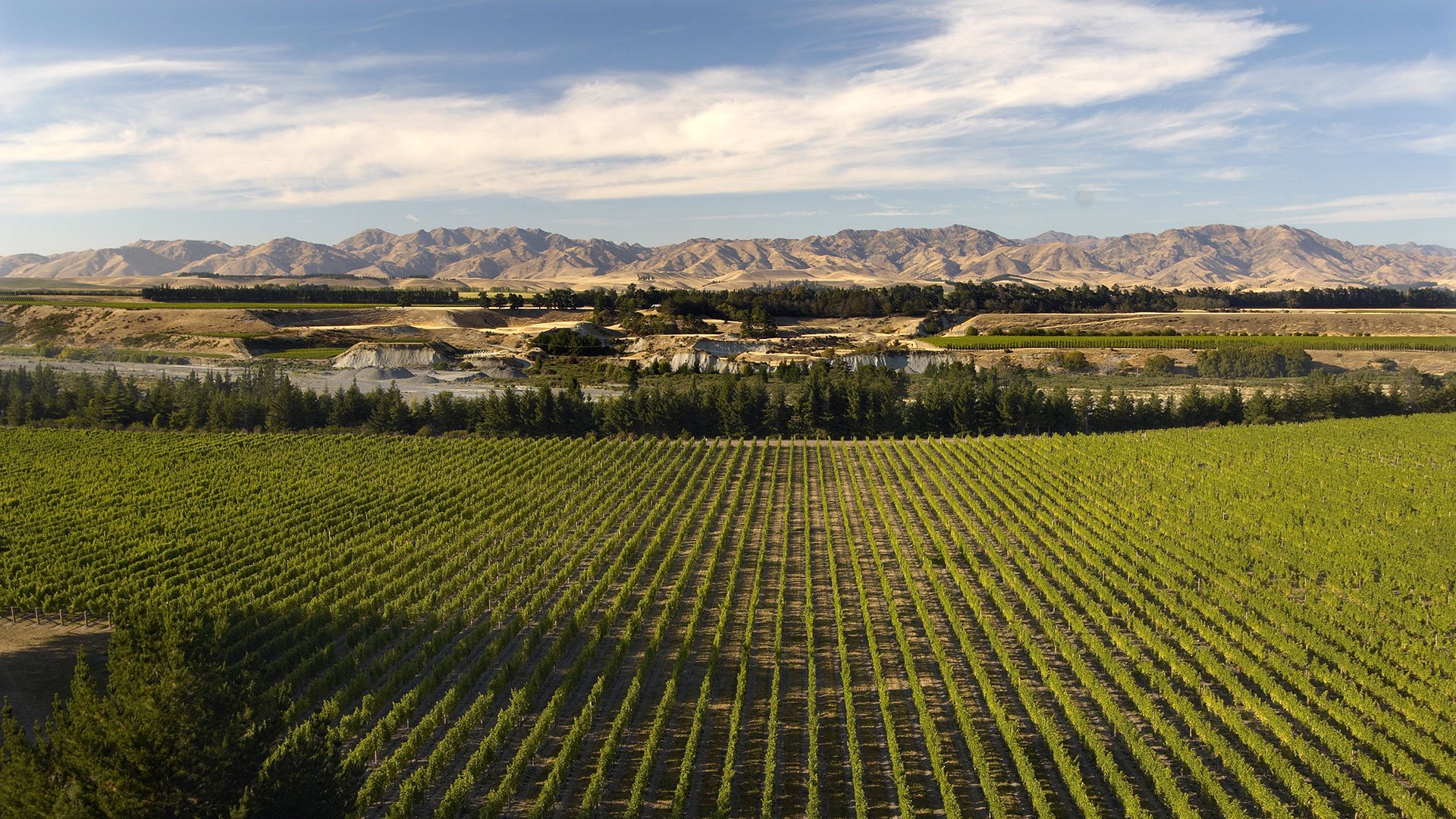 Marlborough Flyer: Malerische Landschaftsfahrt mit der historischen Dampfeisenbahn