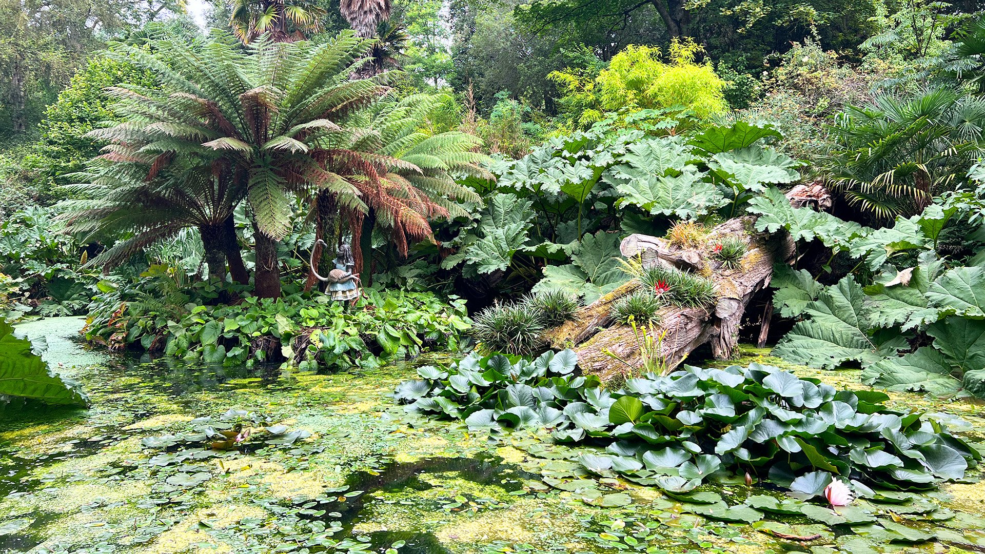 Abbotsbury: Schwanenkloster und Gärten
