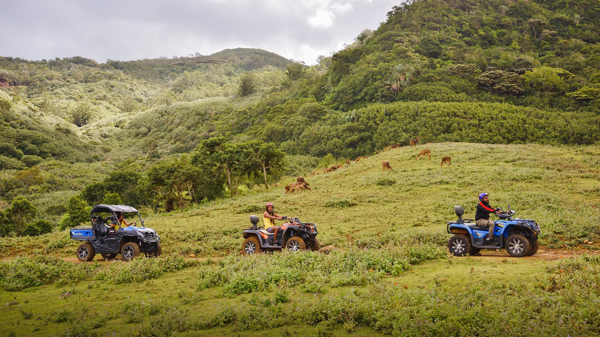Quad-Tour im Nationalpark (Einzelnutzung)