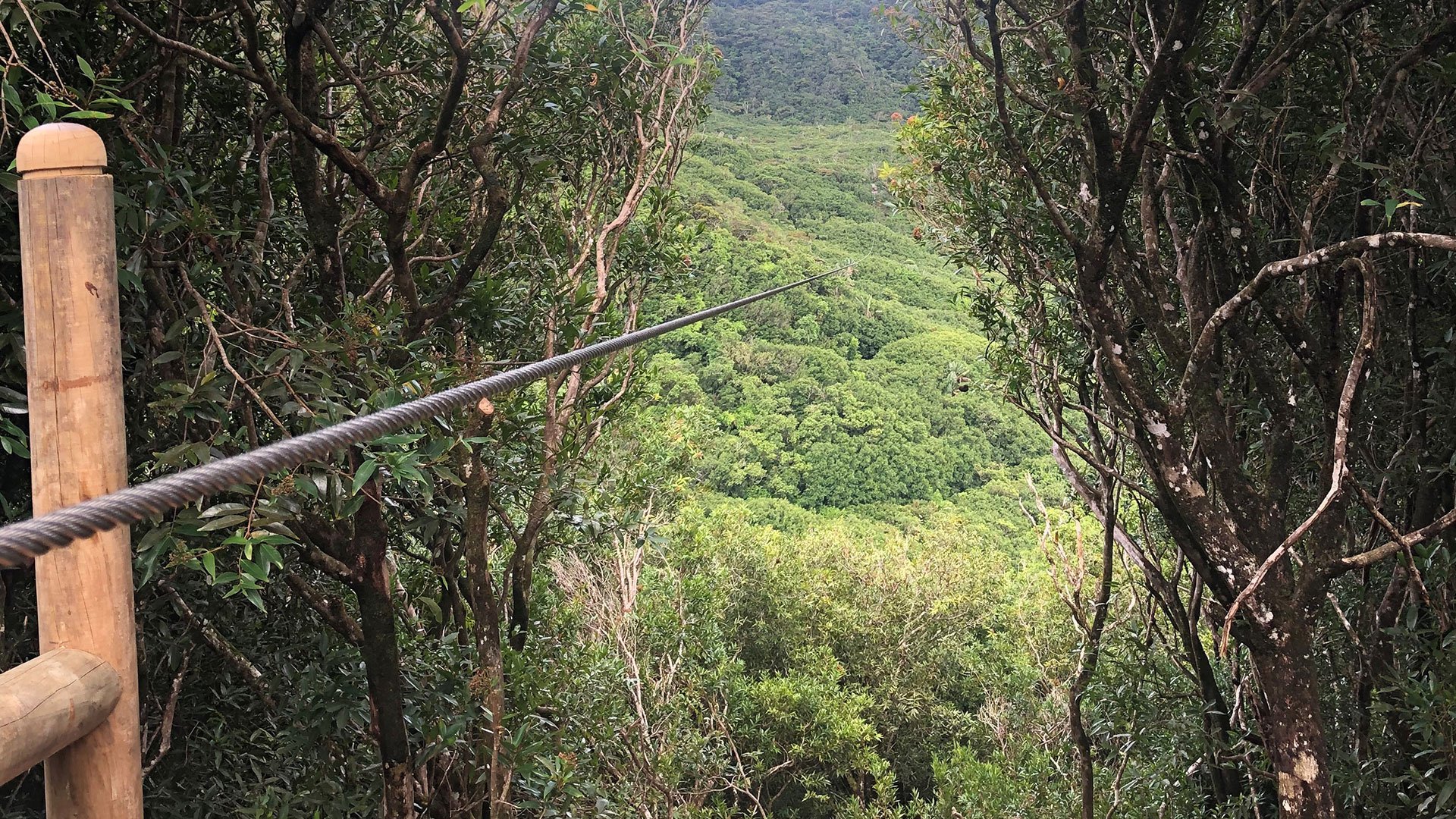 Zipline-Abenteuer durch die Natur