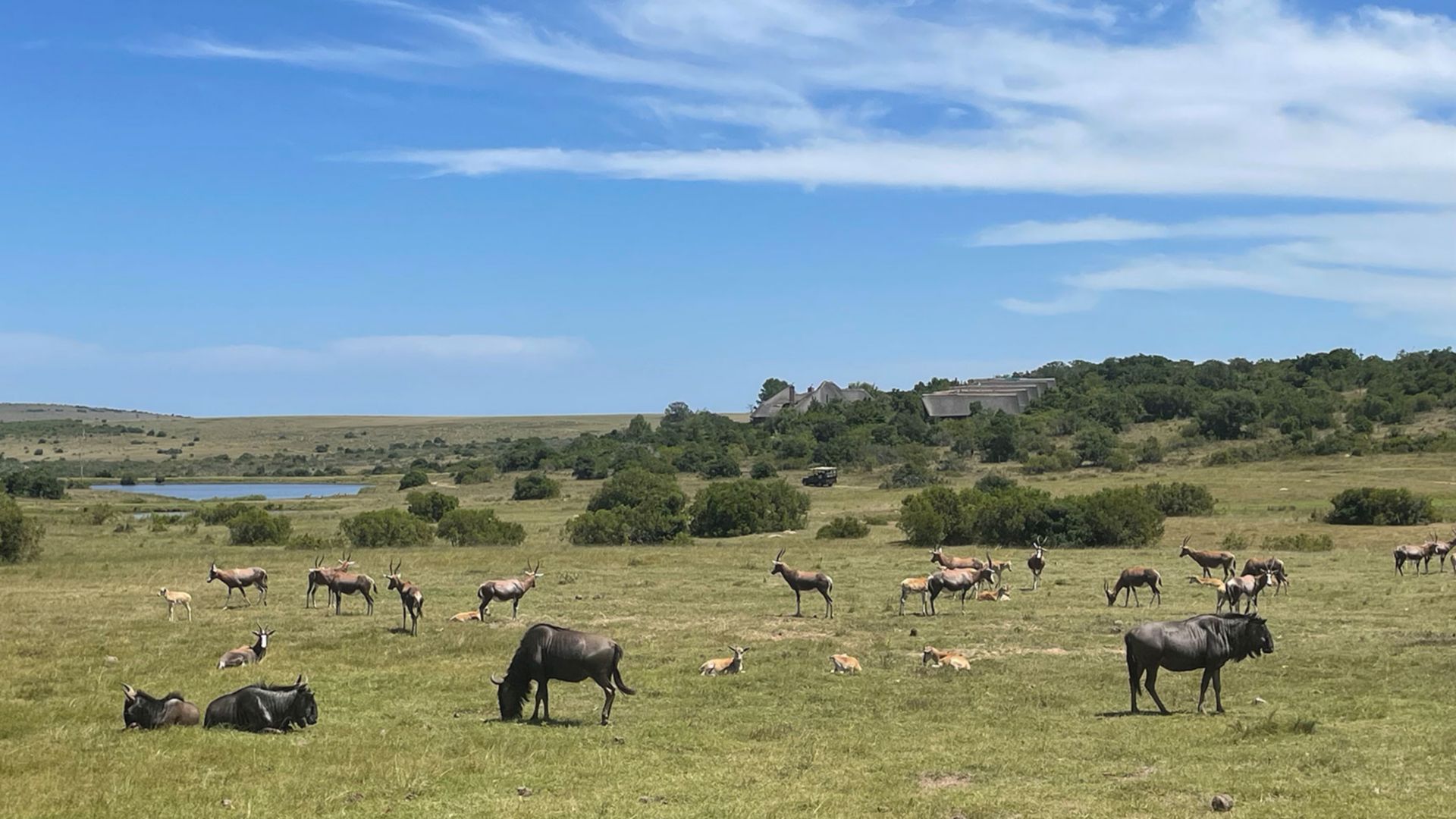 Zu Besuch im Kwantu-Reservat